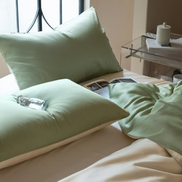 a類萊賽爾蘭精天絲枕套48x74cm夏季涼感枕頭套一對家用單人枕芯套