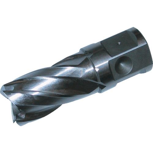 大見 25SQハイスカッター 14.0mm (1本) 品番：HCSQ140