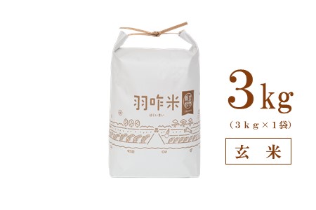 [A017] 能登のこだわり自然栽培こしひかり『羽咋米』 ３kg