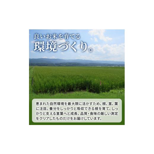 ふるさと納税 秋田県 にかほ市 〈定期便〉 ひとめぼれ 白米 10kg（5kg×2袋）×3回 計30kg 3ヶ月 令和5年 精米 土づくり実証米 毎年11月より 新米 出荷