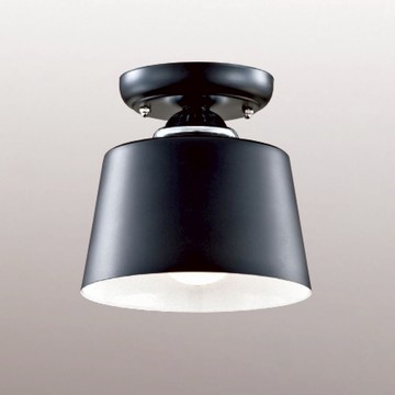 E27吸頂單燈 B245-53-12-3973