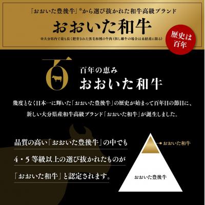 ふるさと納税 豊後高田市 おおいた和牛焼肉セット(合計1.6kg)