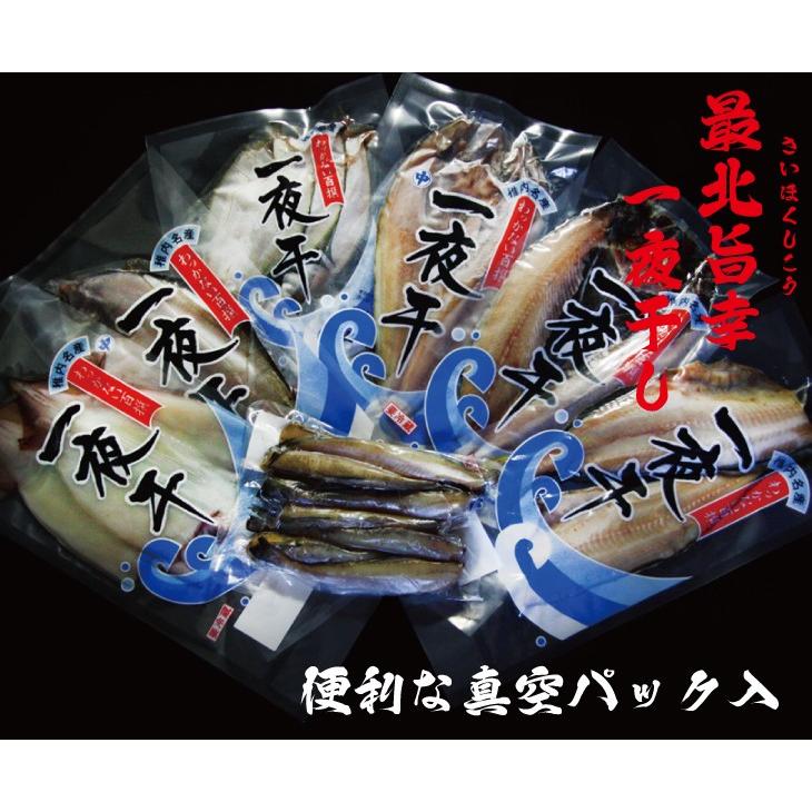 干物 一夜干し 詰合せ 送料無料 ギフト 贈り物 真空 海産物 北の魚 一夜干し 豪華 セット