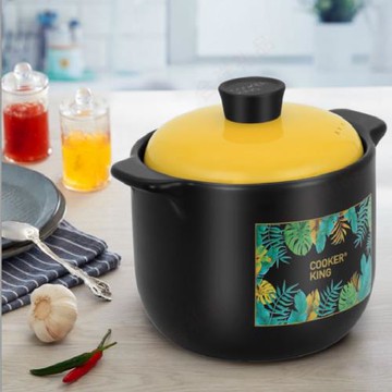 炊大皇家味煲TCX3852家用燉鍋煲湯煮粥耐高溫陶瓷煲4升