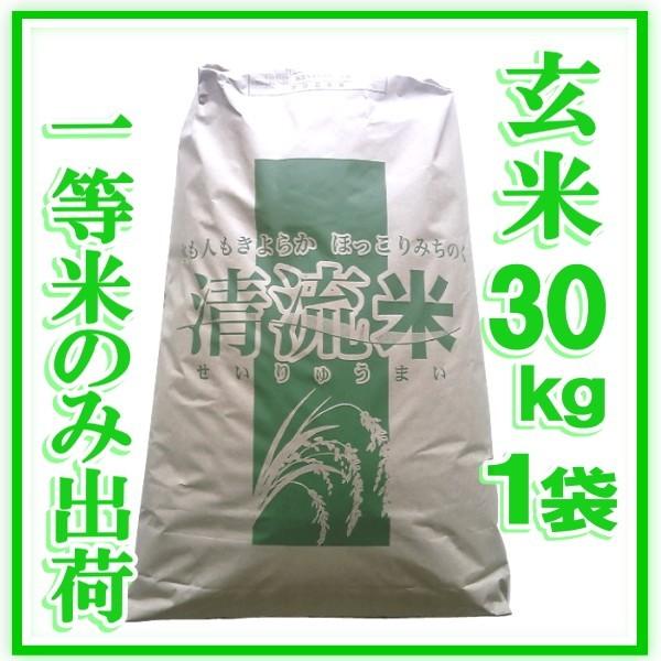 新米 令和5年産 宮城県 登米産  玄米 30kg ひとめぼれ 宮城県認証 1等米 ※沖縄県送料別途3,000円