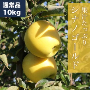 RED APPLE シナノゴールド 約10kg りんご 林檎 果物 フルーツ ギフト 旬