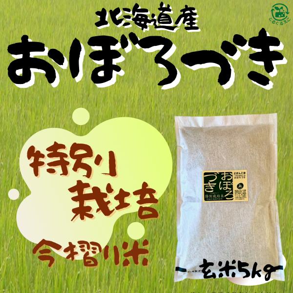 特別栽培　今摺り米　減農薬　北海道産