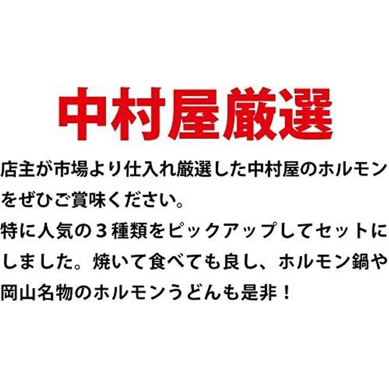 焼肉中村屋 国産ホルモン３種盛り300g