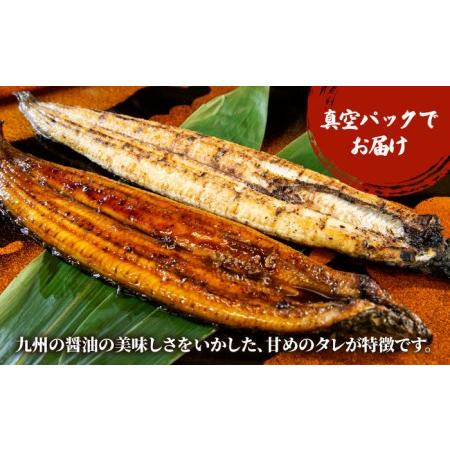 ふるさと納税 国産うなぎ 蒲焼き 3尾鰻 ウナギ[HBV002] 佐賀県江北町