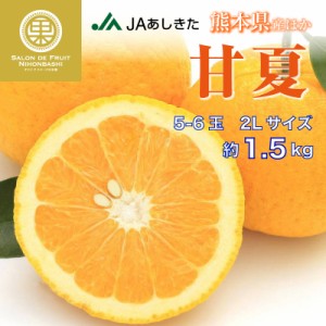 [予約 1月1日-1月31日の納品]  甘夏 あまなつ 甘夏みかん 夏みかん 2Lサイズ 5-6玉 約1.5kg  柑橘 熊本 熊本県産ほか あまなつ  ギフト