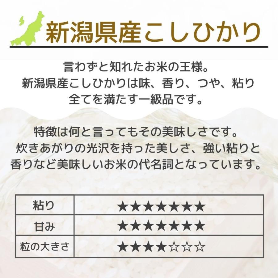 受注精米 お米 10kg 送料無料 新潟県産  新米 コシヒカリ (5kg×2袋) 合計10キロ 白米 2023年 令和5年産