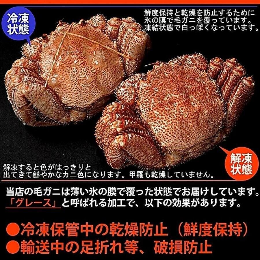 カニ食べ比べセット(毛ガニ・本ズワイガニ)