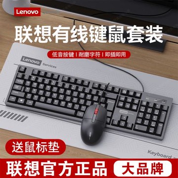 Lenovo聯想有線鍵盤鼠標套裝打字靜音辦公臺式電腦筆記本女生鍵鼠