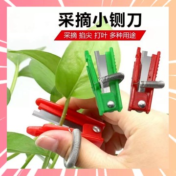 手指刀 埰摘神器 手指埰摘戒指刀 摘菜工具小鍘刀 摘豆角葡萄掐須 摘果器摘菜護甲神器 採果實 拇指刀 0315