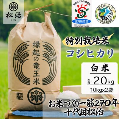 ふるさと納税 竜王町 特別栽培米 十代目松治のコシヒカリ 「縁起の竜王米」 白米20kg 滋賀県産