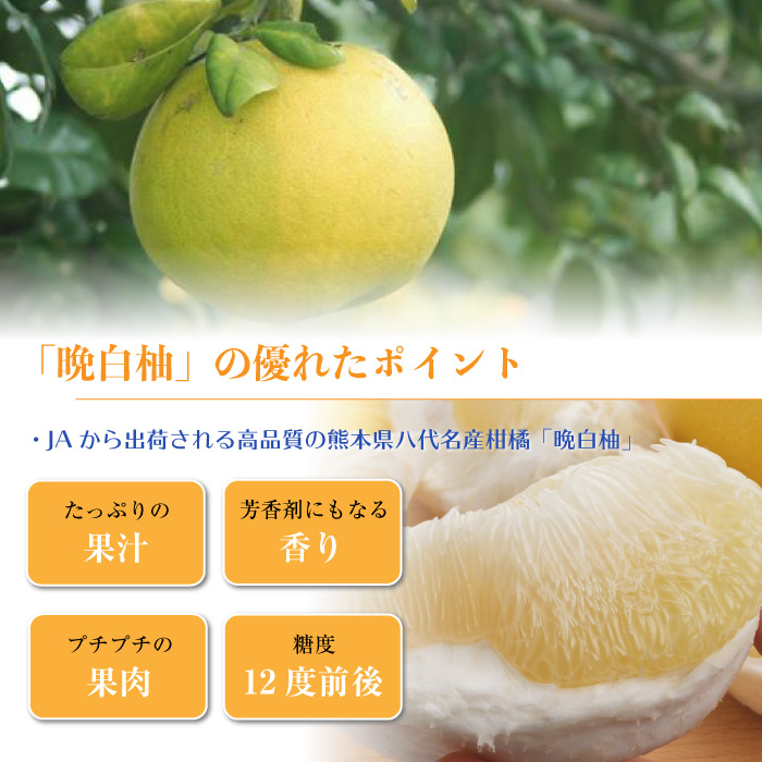[予約 2023年12月31日必着] 晩白柚 3玉 約4～5kg 熊本県八代産 化粧箱 最大級の柑橘フルーツ 冬ギフト お歳暮 御歳暮