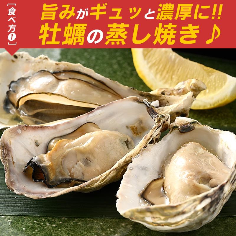 カキ かき 牡蠣 一斗缶 カンカン焼き 殻付き 3kg 牡蠣カンカン焼き 冷凍 軍手＆牡蠣ナイフ付き 瀬戸内海産 お歳暮 ギフト