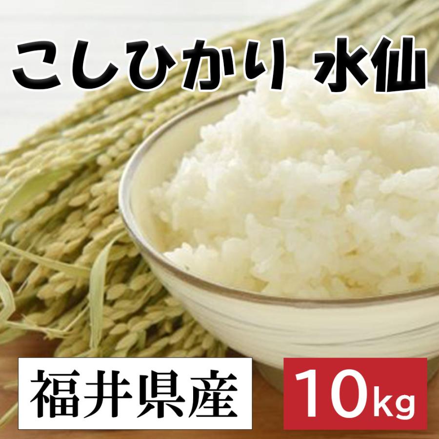 令和5年度産　福井産　こしひかり(水仙)　コシヒカリ 10kg