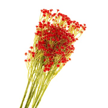 【dayneeds】仿真花藝-滿天星(8色可選)(5支/入)紅色