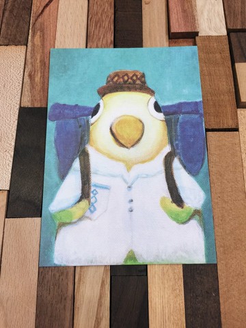 鸚鵡先生的背包旅行_動物的日常系列