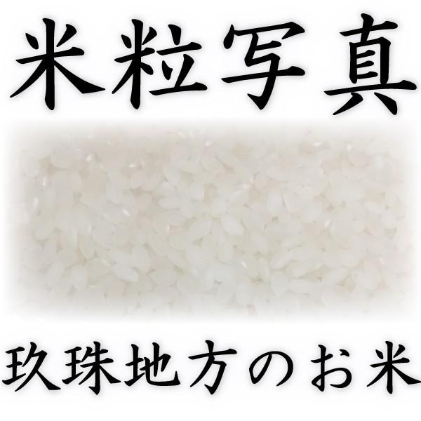 お米 米 5kg 白米 大分県 玖珠産 ひとめぼれ 高級米 あすつく 新米 令和5年産 5kg1個  棚田米 富田商店 とみた商店