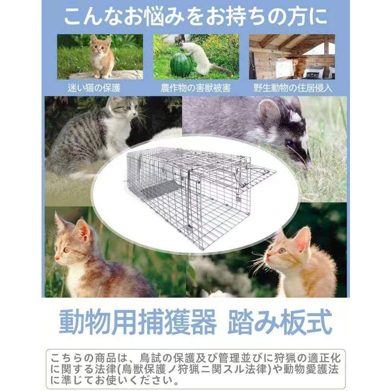 動物用捕獲器 アニマルトラップ 踏み板式 野良猫 迷子猫 小動物 保護 害獣駆除 農業作物保護 簡単組立 設置