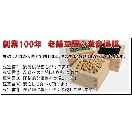 豆力 豆専門店のレッドキドニー　200g