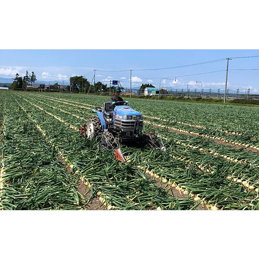 ふるさと納税 北海道 南幌町 北海道産 南幌町産 たまねぎ 「山本農園のたまねぎ」L大サイズ前後 5kg 送料無料 玉ねぎ タマネギ 玉葱 NP1-161