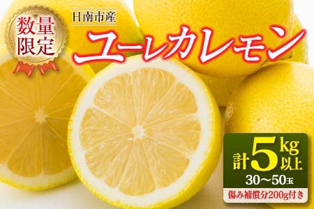 ≪数量限定≫ユーレカレモン(計5kg以上)傷み補償分200g付き　フルーツ　果物　柑橘　国産 BA46-23