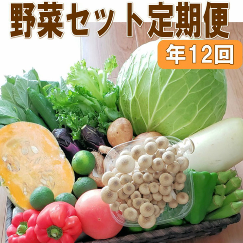 定期便 旬の新鮮野菜セットAたっぷり15品以上