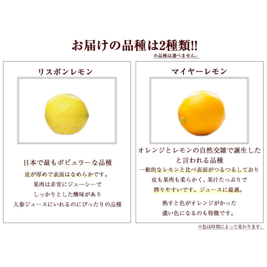 レモン 国産レモン 1kg 佐賀県産 訳あり 特別栽培農産物 防腐剤防かび剤不使用 ゲルソン療法にも最適