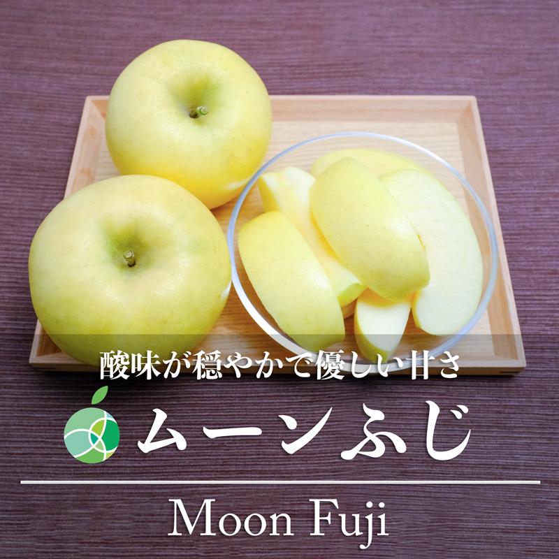 ムーンふじ　りんご　贈答用　約2kg　5-6玉　長野県産　お歳暮　御歳暮　フルーツ　ギフト