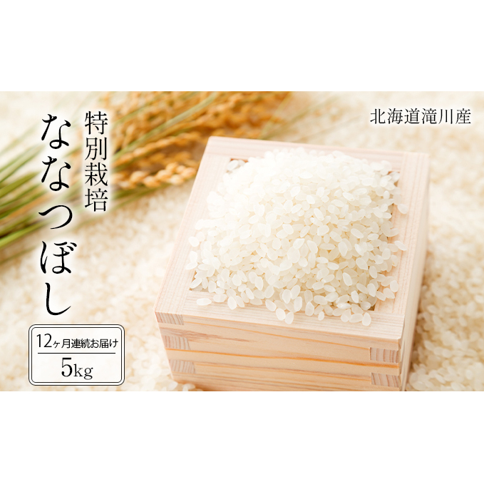 北海道 滝川産 特別栽培ななつぼし 5kg 12ヶ月連続｜滝川市 ななつぼし ナナツボシ 米 お米 白米 ご飯 特別栽培 特別栽培米 特別栽培ナナツボシ 定期便