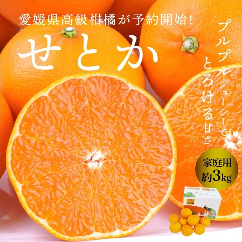 せとか 家庭用 良品 3kg L~4L 送料別途 愛媛県産 産地直送 ミカン 高級柑橘 予約商品