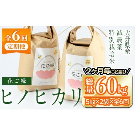 ふるさと納税 ＜定期便・6回 (隔月)＞減農薬特別栽培米 はなご縁 (総量60kg・5kg×2袋×6回) 米 定期便 ６回 隔月 ひのひかり ヒノヒカ.. 大分県佐伯市