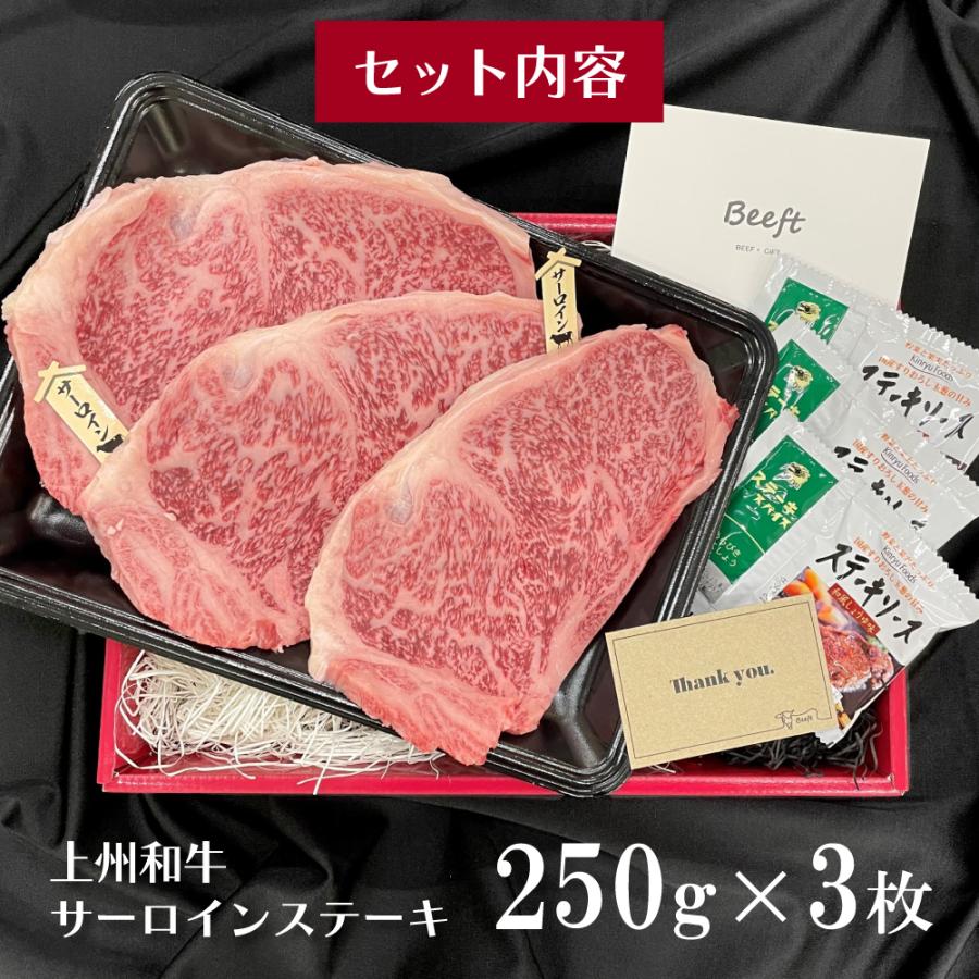 お中元 御中元 牛肉 ギフト サーロインステーキ 750g 上州和牛 化粧箱入 黒毛和牛 A4A5ランク 250g×3枚 国産牛 お歳暮 送料無料 お年賀 誕生日 出産内祝い