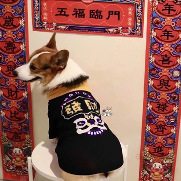 【台灣出貨】寵物衣服 狗狗新年服 貓咪新年服飾 寵物過年衣服 秋冬新年狗狗紅色喜慶服 貓咪加絨保暖過年衣服