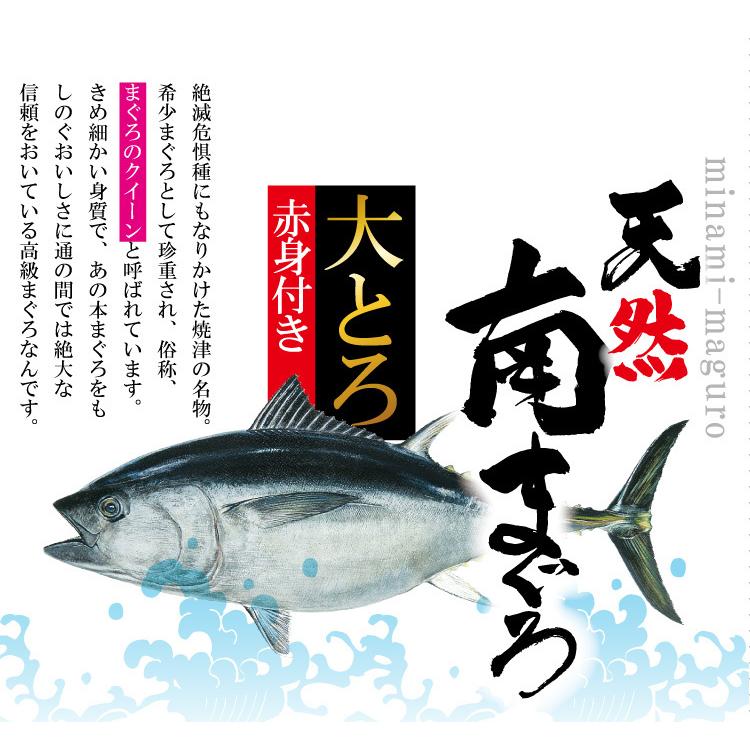 天然南まぐろ ブロック 500g 鮪 マグロ 冷凍 送料無料 ギフト お取り寄せグルメ 食品 産直