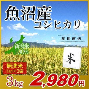 お米 3kg 無洗米 魚沼産コシヒカリ (1kg×3袋) エコ梱包 令和5年産 新米   1kg小分け 米 最高級銘柄 新潟米 ブランド米 新潟 新潟県産 国