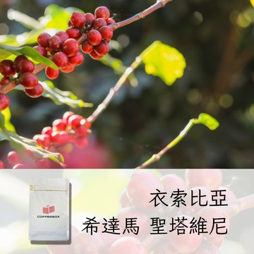 衣索比亞 希達馬 聖塔維尼 水洗 淺焙 (半磅)【柏克斯咖啡】