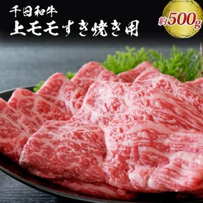 ふるさと納税 河北町 千日和牛上モモすき焼き用 約500g(山形牛)　ka012-017a001