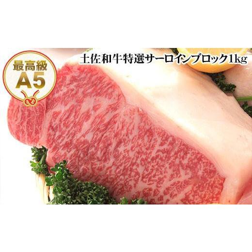 ふるさと納税 高知県 高知市 土佐和牛A5特選サーロインブロック約1kg　牛肉ブロック