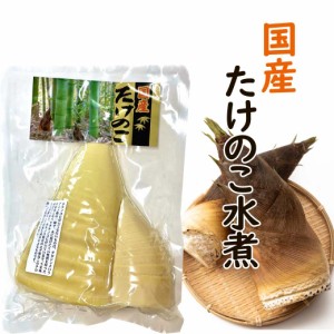 国産 たけのこ水煮 250g 水煮野菜 たけのこ タケノコ 筍 生たけのこ 孟宗竹 モウソウチク