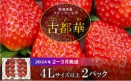 高級いちご「古都華」4Lサイズ以上２パック　いちご 高級 古都華 4Lサイズ以上 280g × 2パック 約560g 深みのある濃厚な味わい ほどよい酸味 高い糖度 華やかな香り 美味しく甘い 光沢のある 濃いルビー色 フルーツ 果物 宙吊り包装 お取り寄せ 送料無料