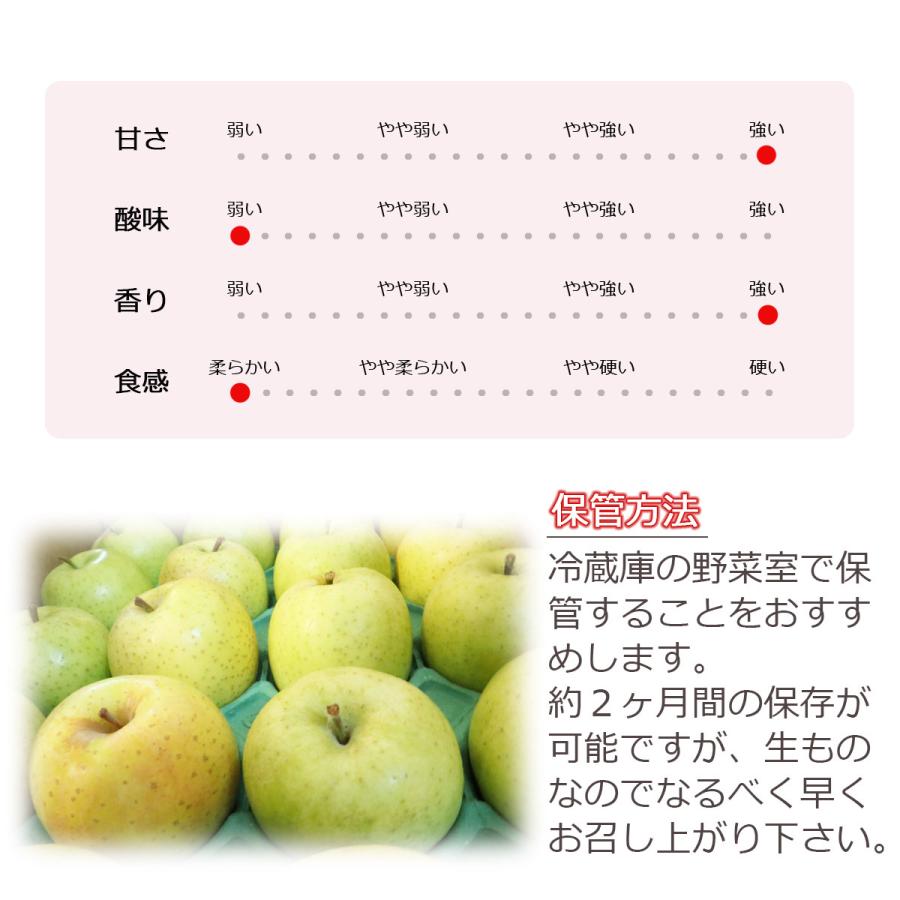 りんご 王林 5ｋｇ（約12玉〜25玉）2023年産 青森県産りんご ご家庭用 訳あり 産地直送 工藤農園