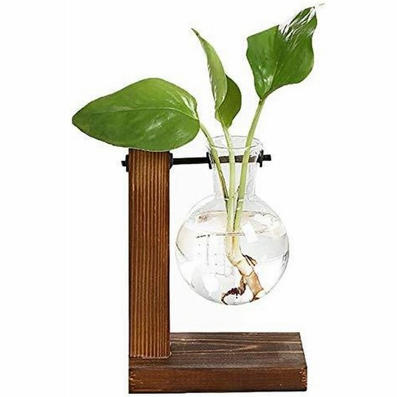 水耕栽培花瓶 電球形ガラス瓶 水栽培 木製枠 花瓶 卓上花瓶 一輪挿し 花瓶花器 シンプル おしゃれ テラリウム容器 店舗 オフィス 家の装飾用 イン 通販 Lineポイント最大0 5 Get Lineショッピング