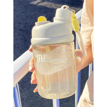 夏季水杯女新款2024隨手杯便攜tritan杯子帶吸管茶隔高顏值雙飲杯