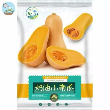 【原廠包裝】奶油南瓜種子（Cream Pumpkin）10粒裝 日本栗子南瓜 粉質香甜 鬆軟綿密 口感如芋 家庭菜園