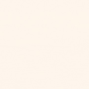 【中山國小捷運免千萬電梯1房*有隔間✨美裝潢】｜台北市中山區新生北路三段