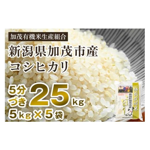 ふるさと納税 新潟県 加茂市 新潟県加茂市産 特別栽培米コシヒカリ 精米 25kg（5kg×5） 従来品種コシヒカリ 加茂有機米生産組合